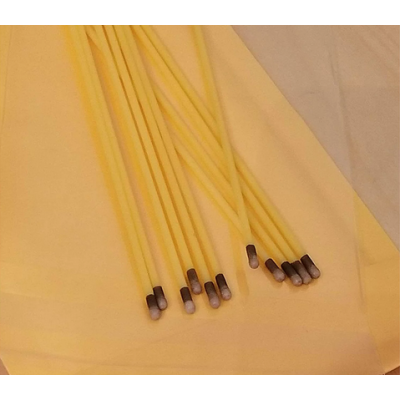 Silver Nitrate Sticks Plastic 6" Caustic Applicator, 10 Individual Sticks, Exp 2027